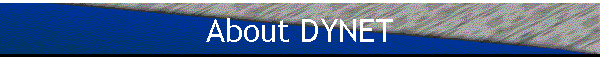 About DYNET